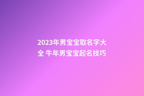 2023年男宝宝取名字大全 牛年男宝宝起名技巧